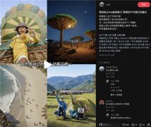 利用Wink自带的“视